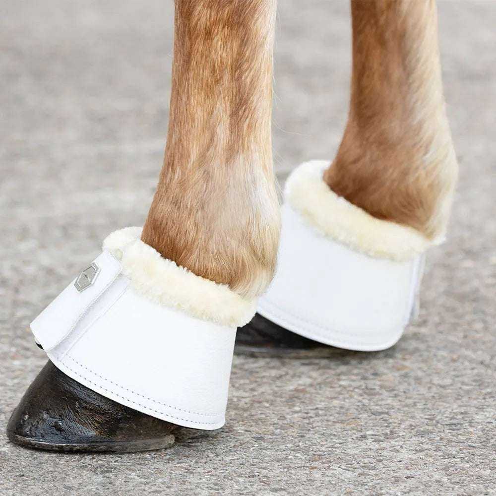 Coldstream Bowden Over Reach Boots