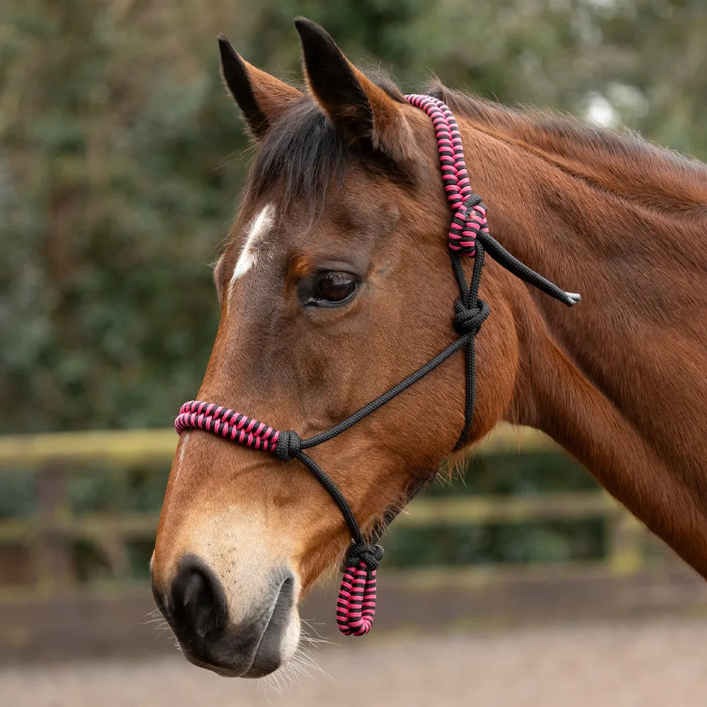 Hy Equestrian Double Braid Rope Halter