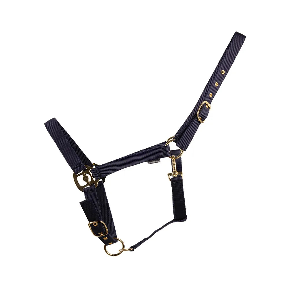 HyCONIC Head Collar