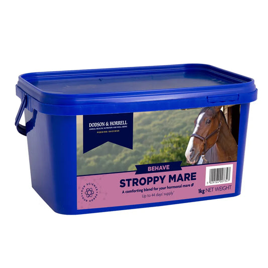 D&H Stroppy Mare