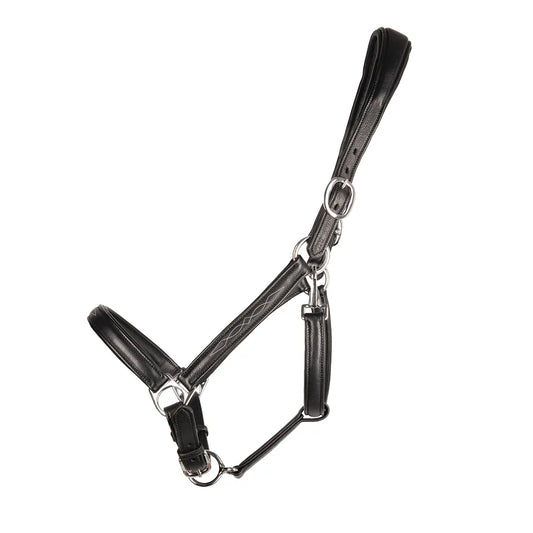 ProPresicce Softy Leather Head Collar by Hy Equestrian