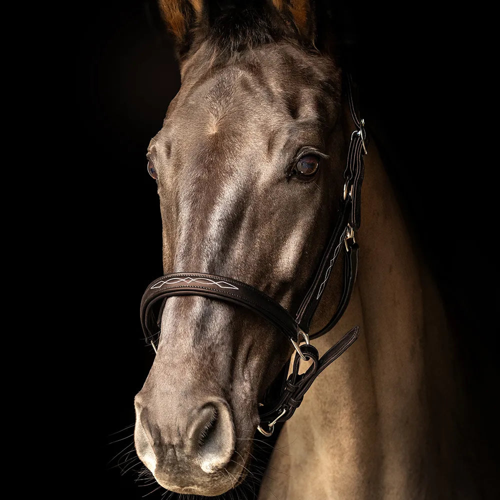 ProPresicce Softy Leather Head Collar by Hy Equestrian