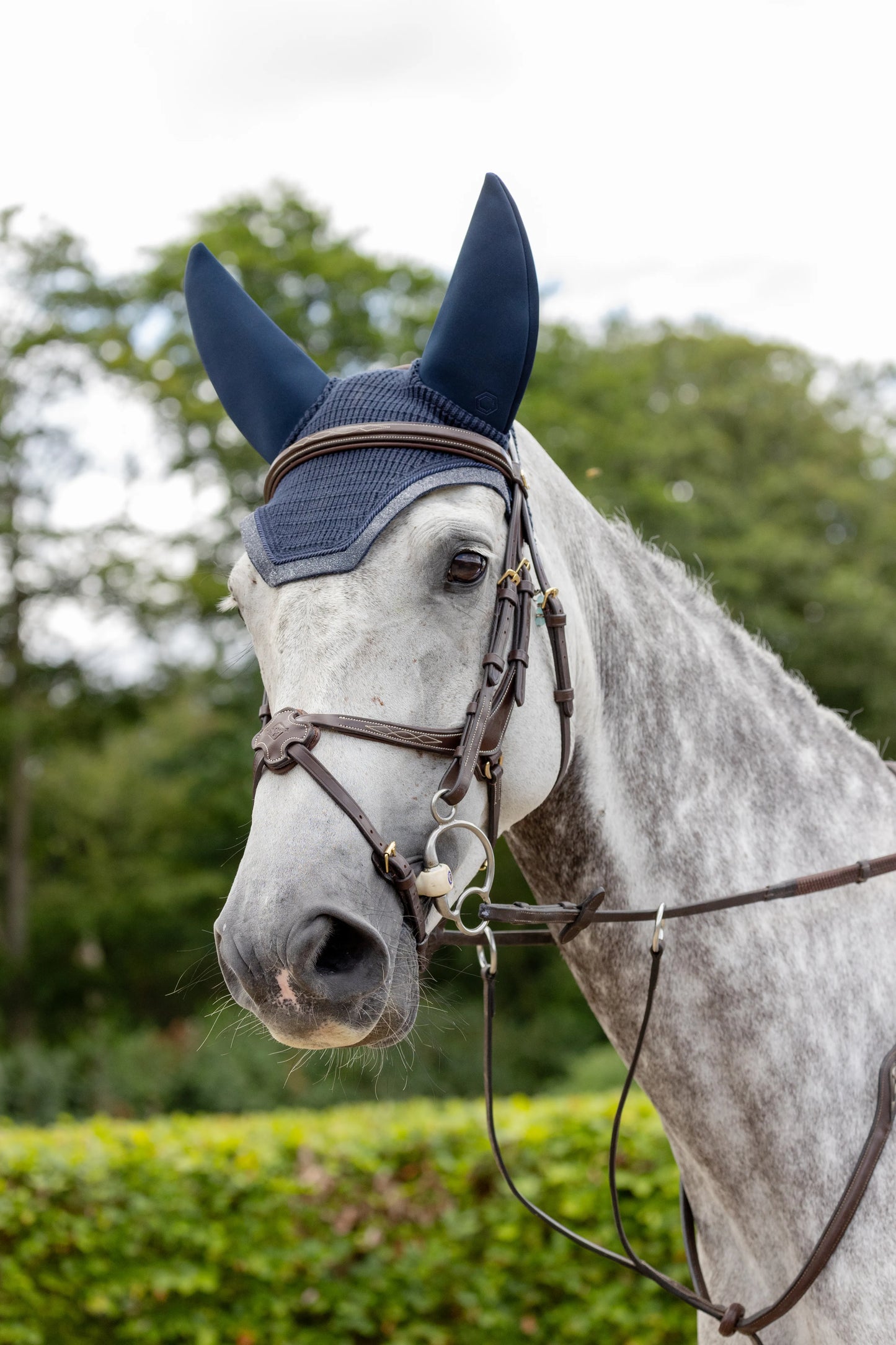 Coldstream Lowick Crystal Soundproof Fly Veil