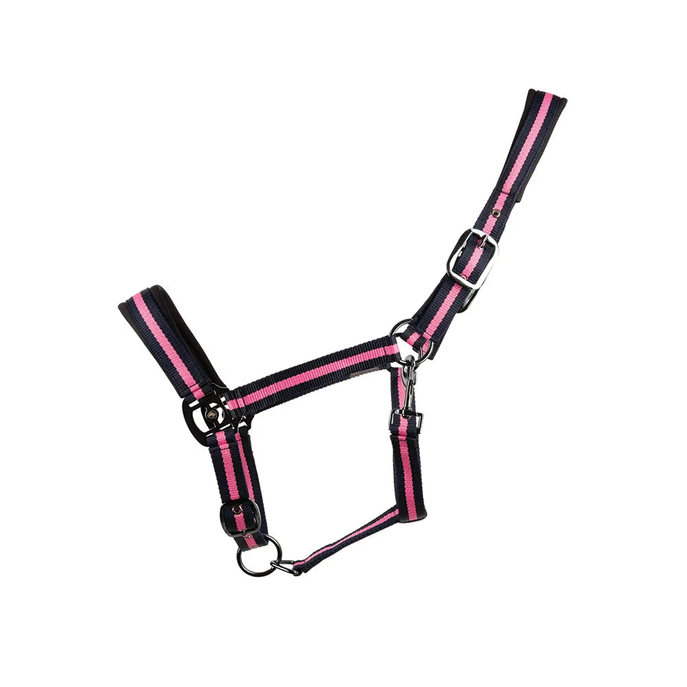 Hy Equestrian Ink Head Collar