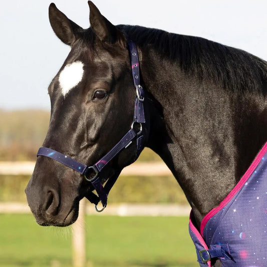 Hy Equestrian Out of this World Head Collar & Lead Rope