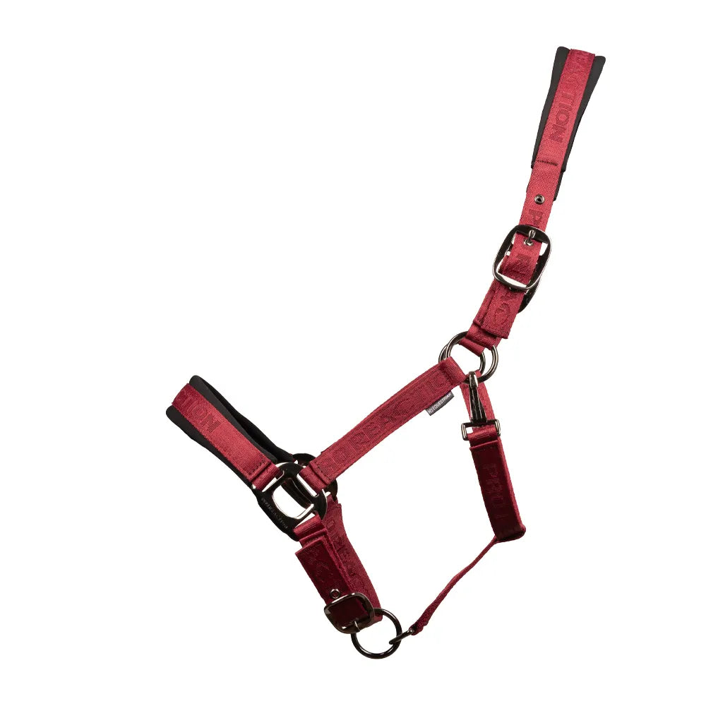 ProReaction Transform Head Collar by Hy Equestrian