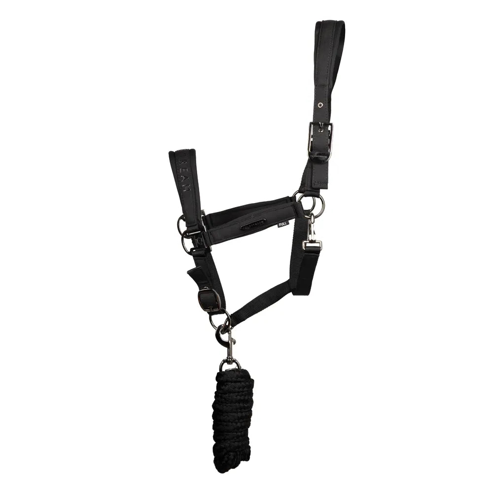 Coldstream Paxton Padded Head Collar & Lead Rope
