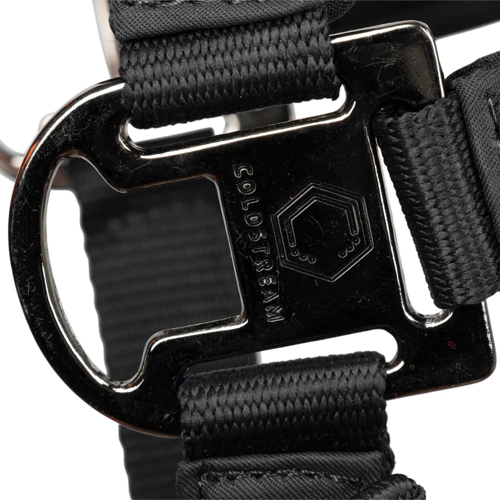 Coldstream Paxton Padded Head Collar & Lead Rope