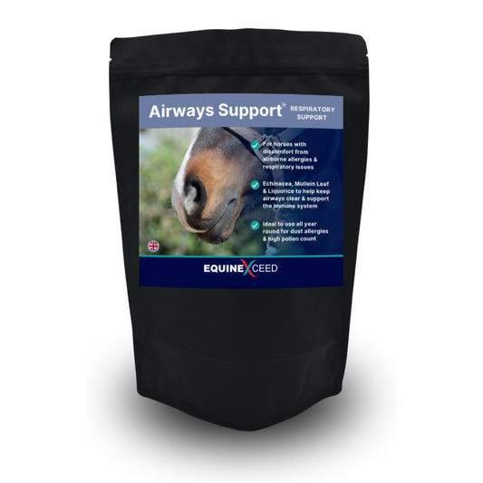 Equine Exceed Airways Support
