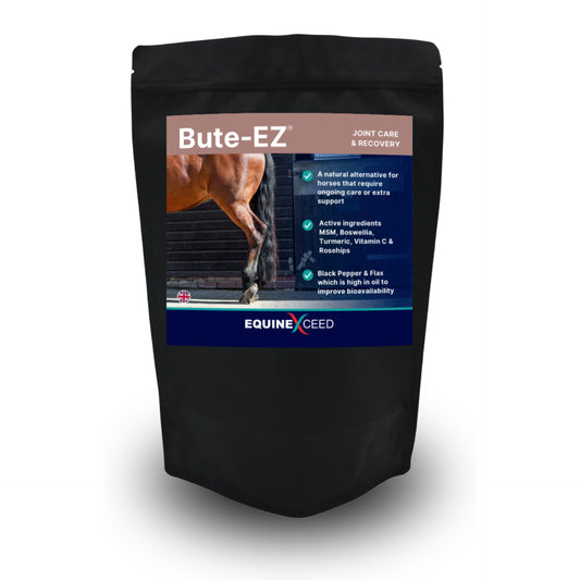 Equine Exceed Bute-EZ