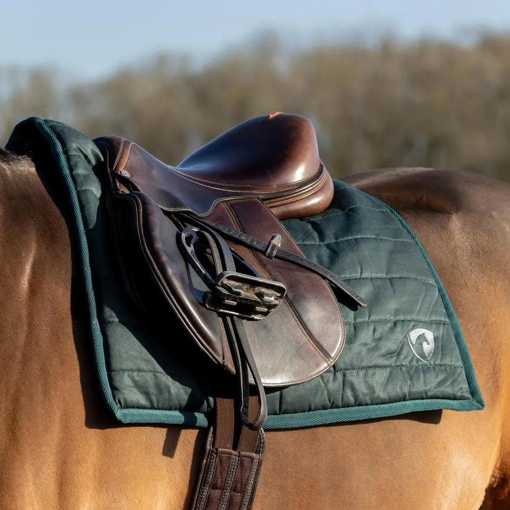 Hy Equestrian Classic Comfort Pad