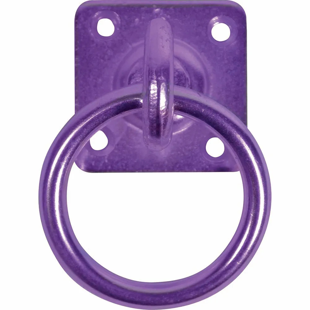 Perry Equestrian Swivel Tie Ring on Plate
