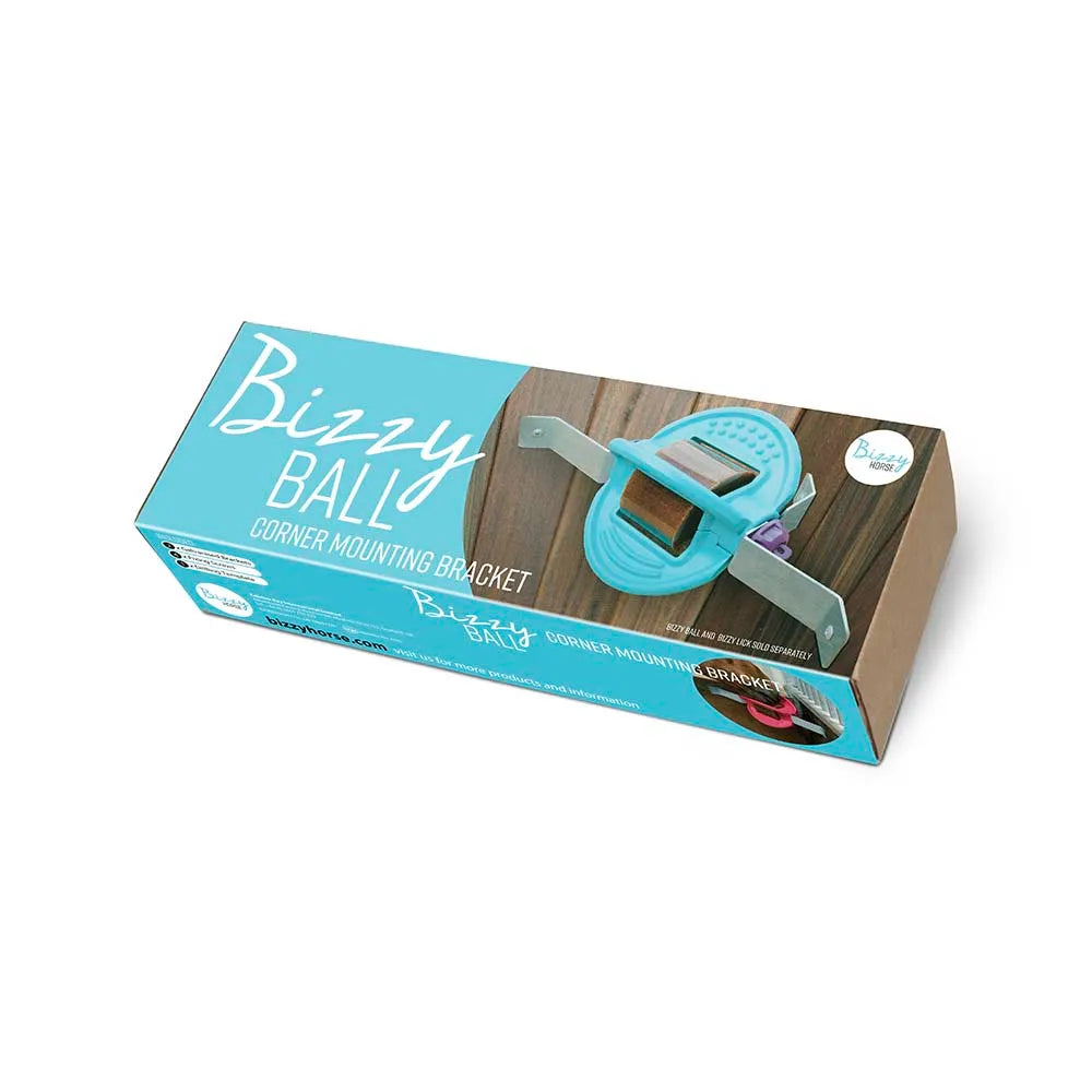 Bizzy Ball Wall Bracket