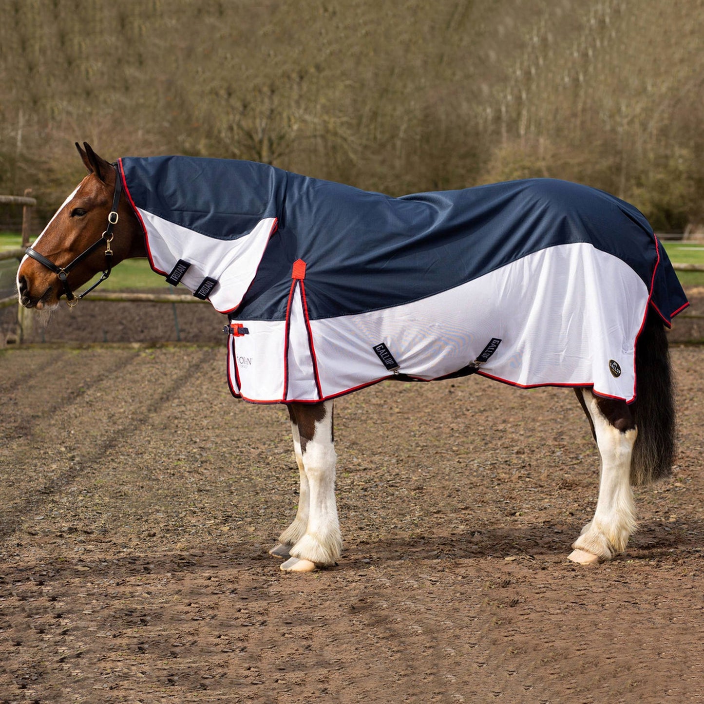 TROJAN Waterproof Fly Rug Combo