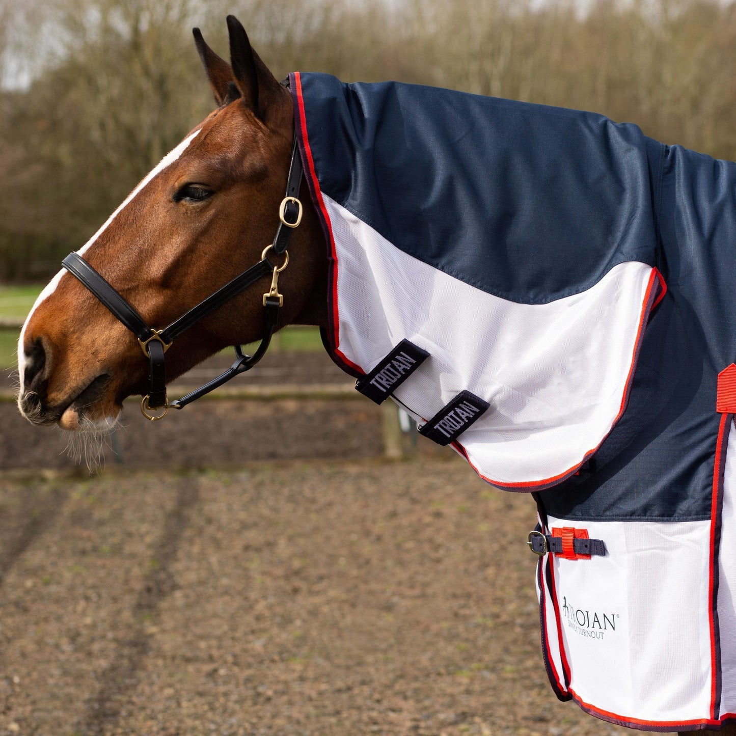 TROJAN Waterproof Fly Rug Combo