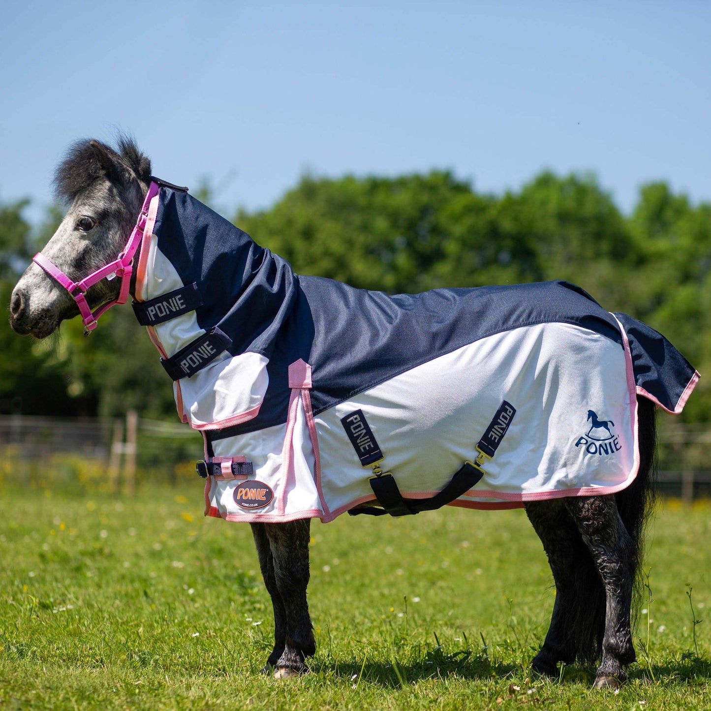 Ponie Hybrid Combo Fly Rug