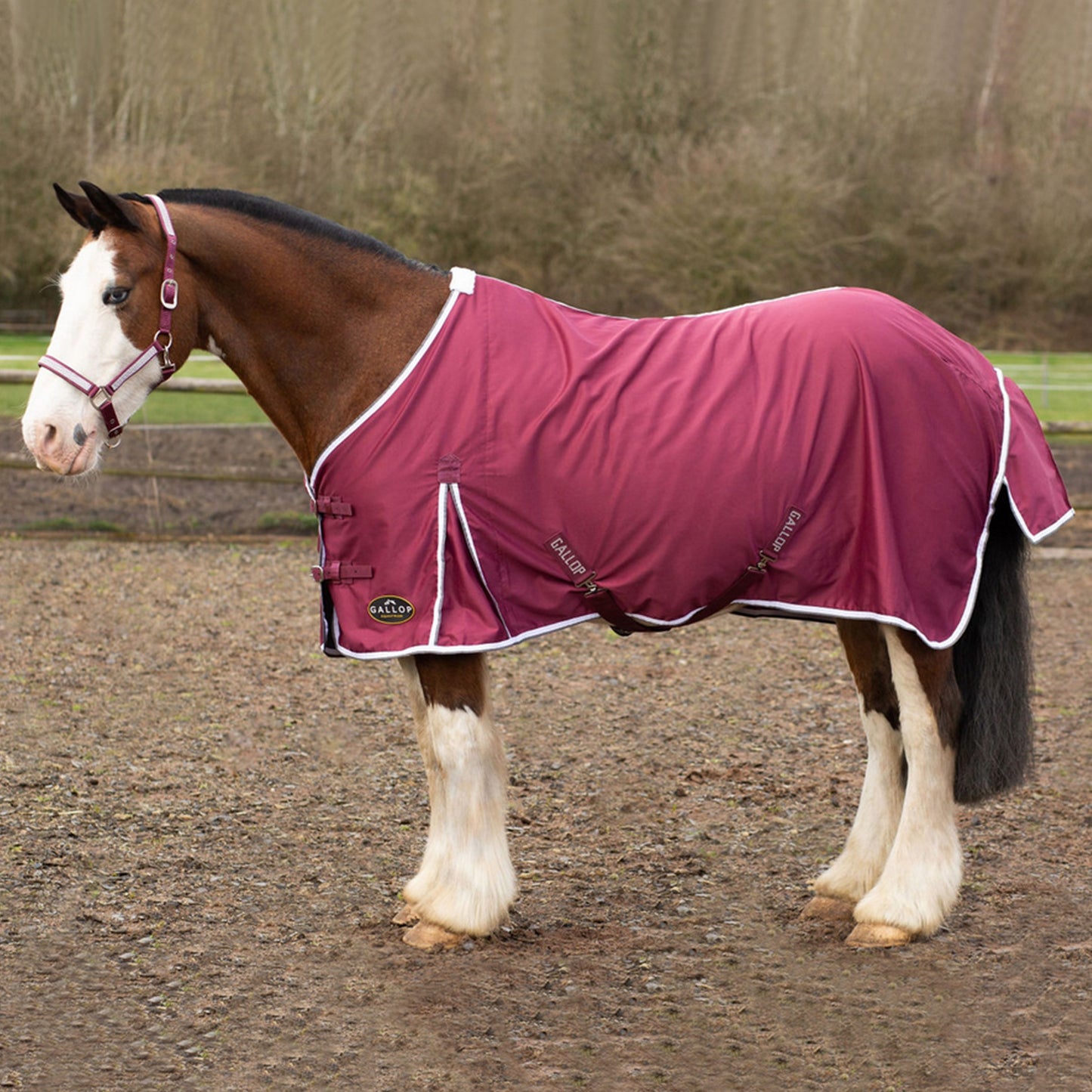 Gallop Summer Sheet Burgundy