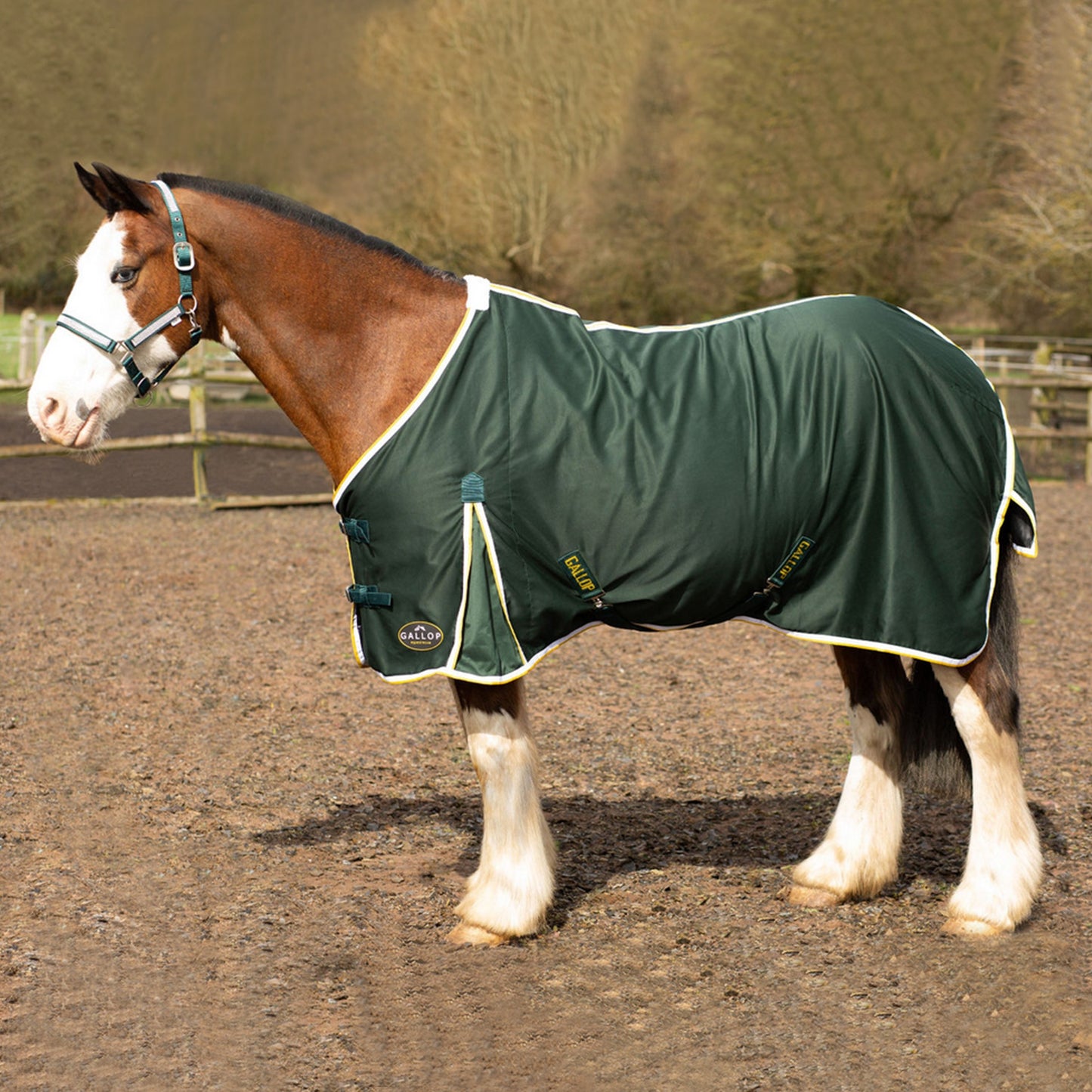 Gallop Summer Sheet Green