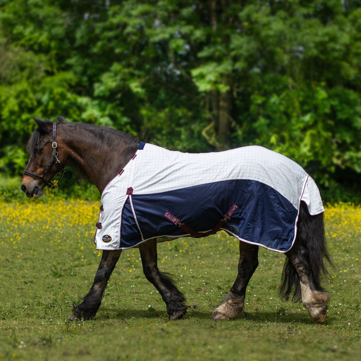 GALLOP Air Mesh Detachable Cooler