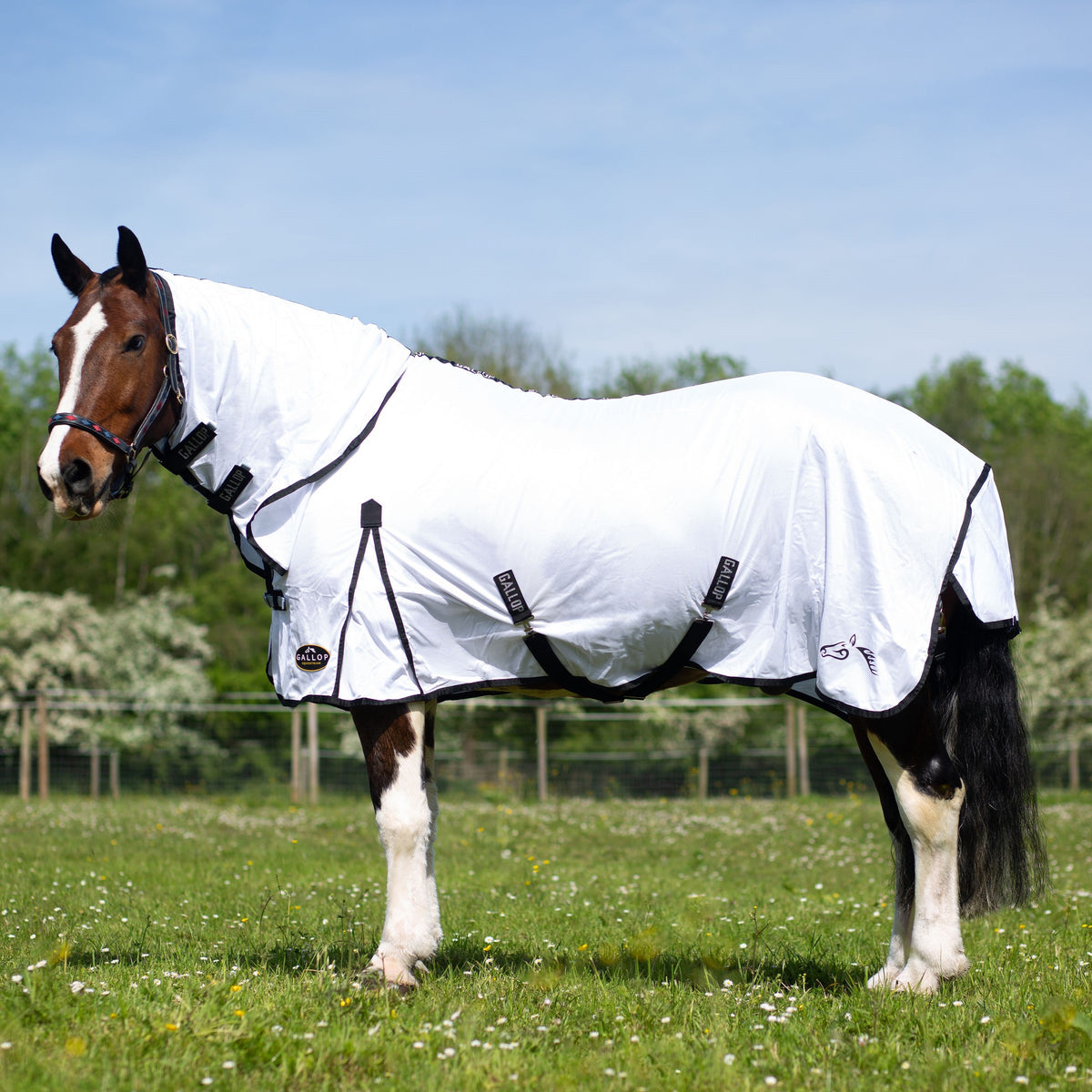 TROJAN Classic Combo Fly Rug