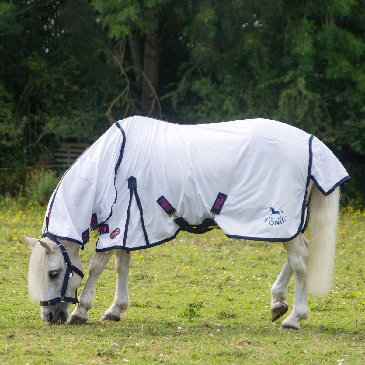 Ponie Combo Fly Rug