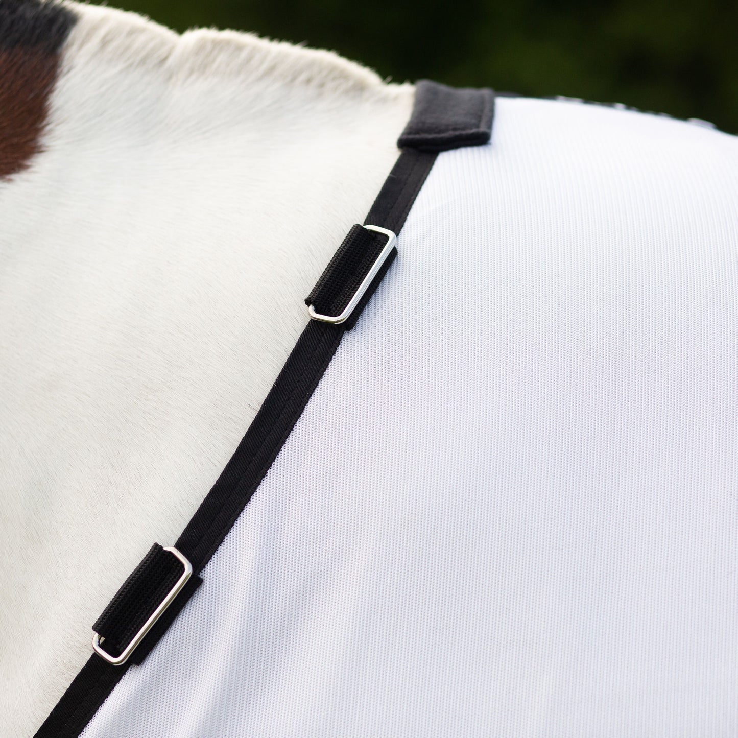 Gallop Dual Fly Rug & Neck Set