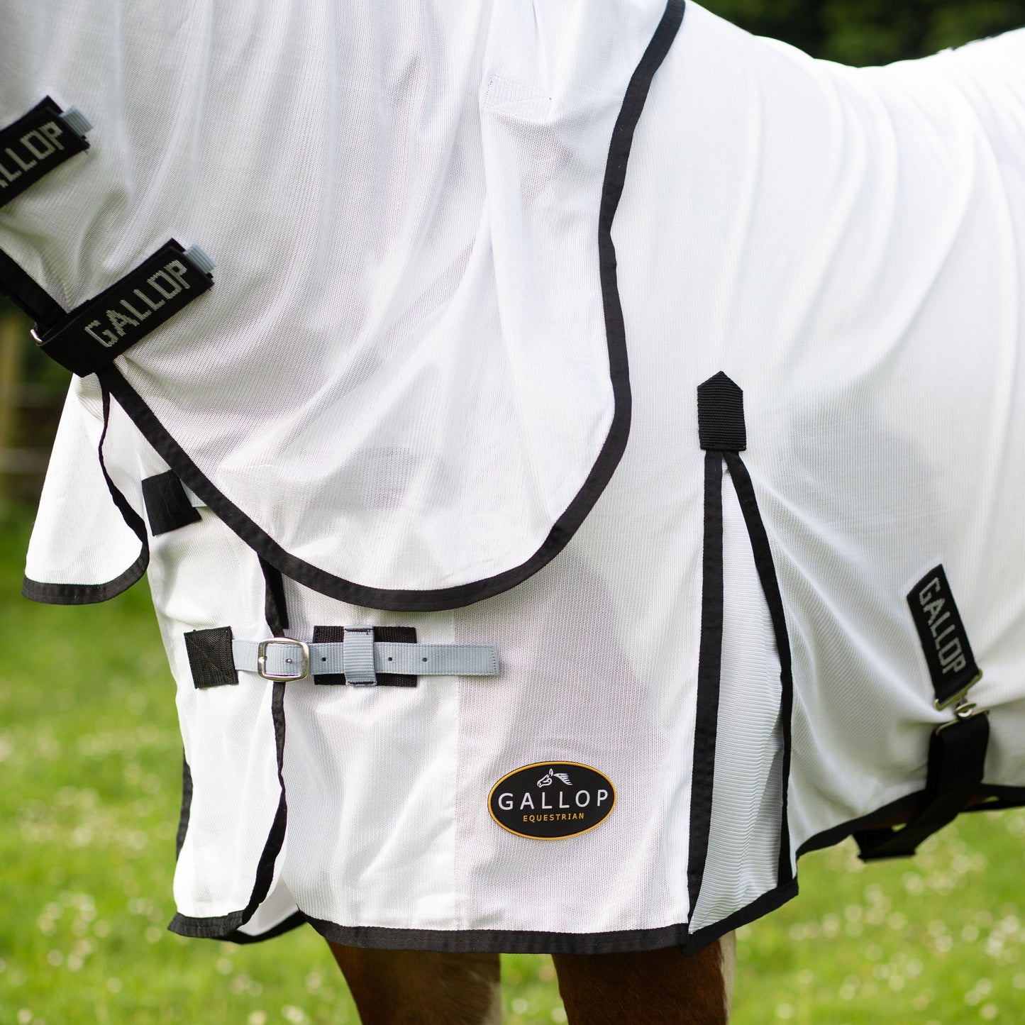 New Gallop Dual Fly Rug