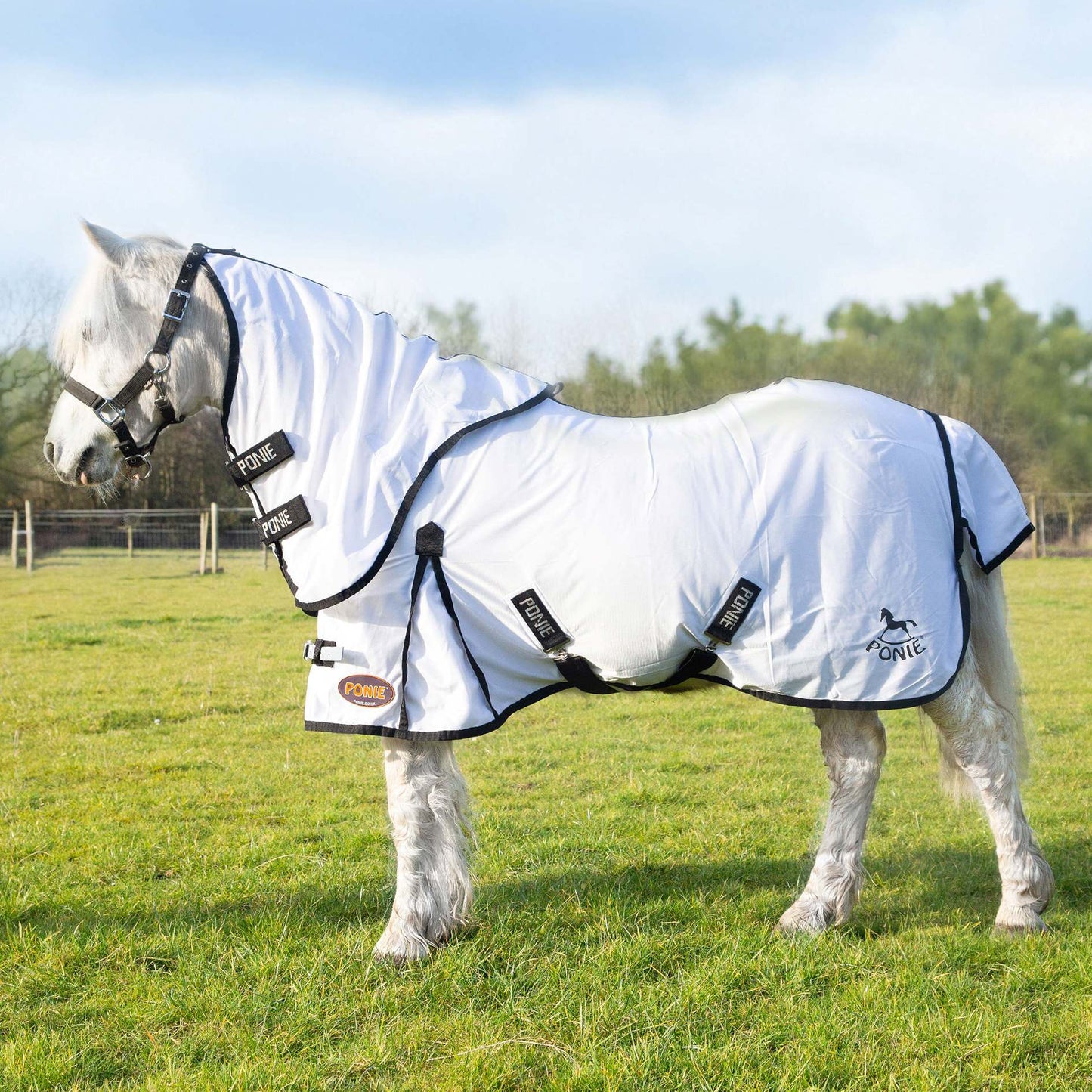 Ponie Dual Fly Rug & Neck Set