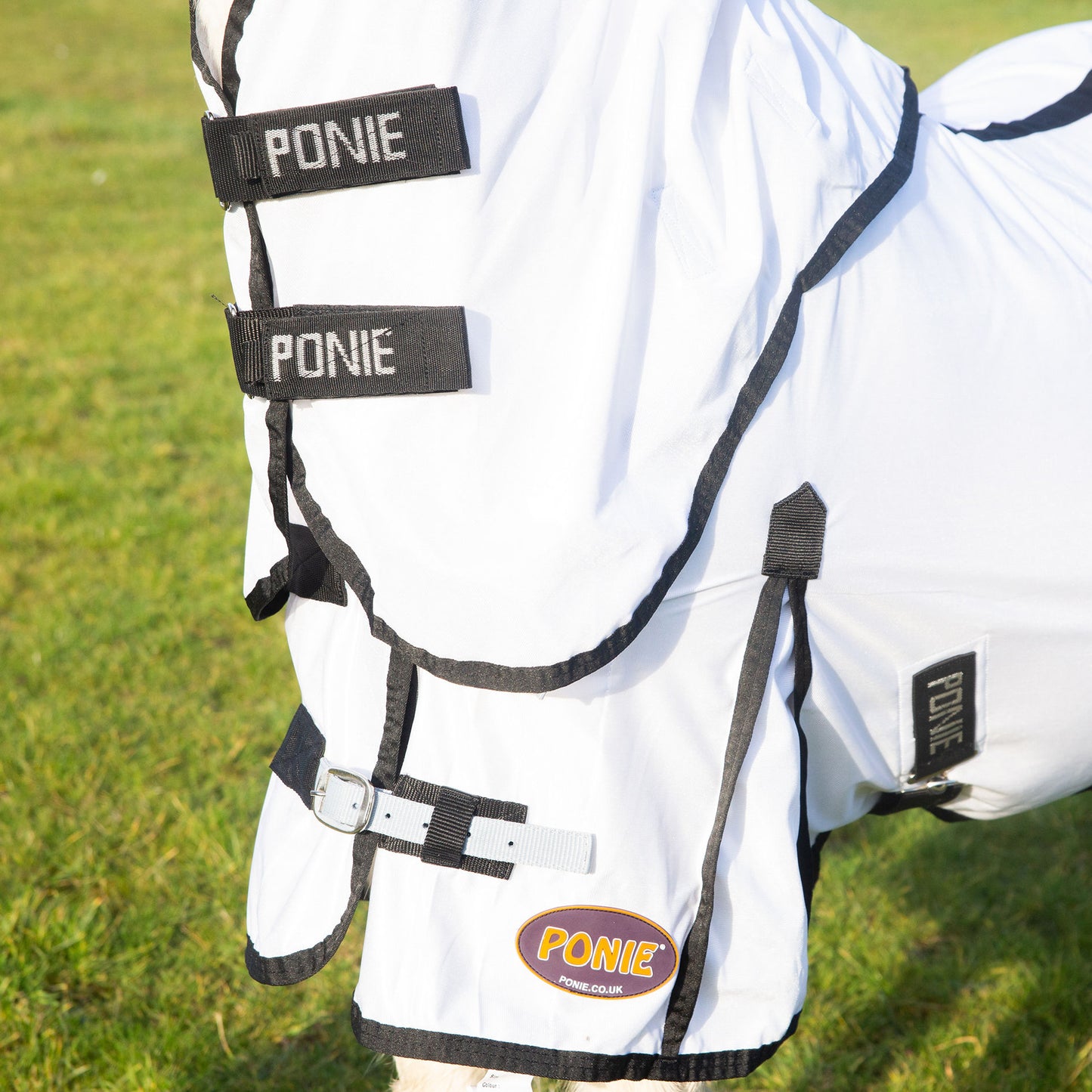 Ponie Dual Fly Rug & Neck Set
