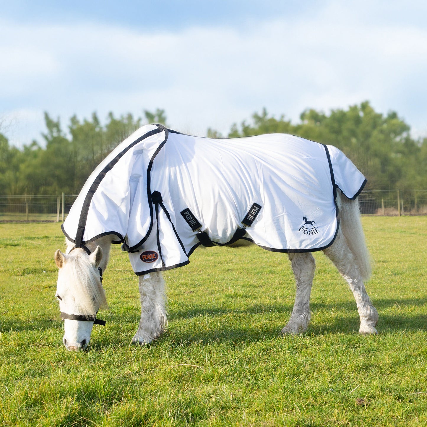 Ponie Dual Fly Rug & Neck Set