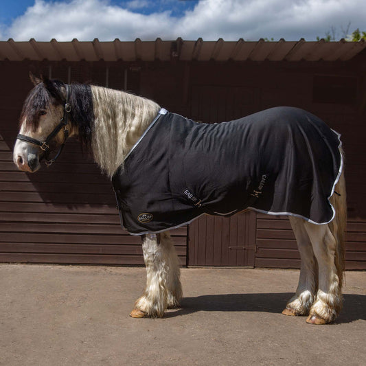 TROJAN Jersey Cooler Rug Black