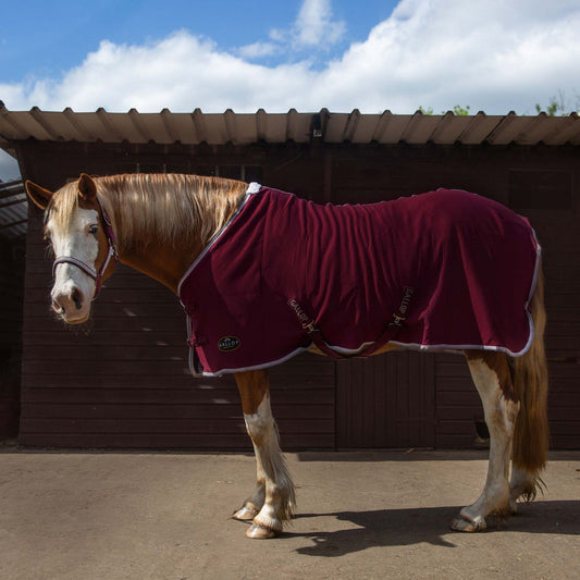 TROJAN Jersey Cooler Rug Burgundy