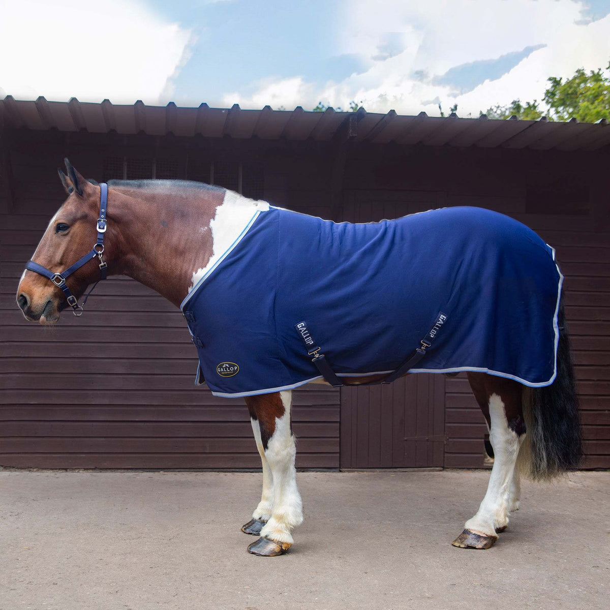TROJAN Jersey Cooler Rug Navy