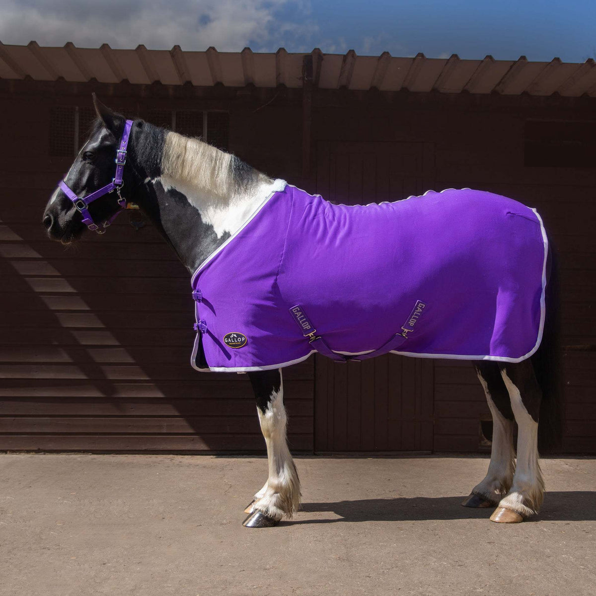 TROJAN Jersey Cooler Rug Purple