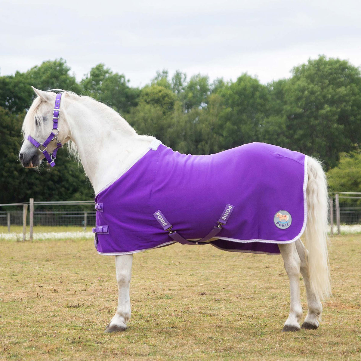 PONIE 'Tiddlywinks' Jersey Cooler Rug Purple