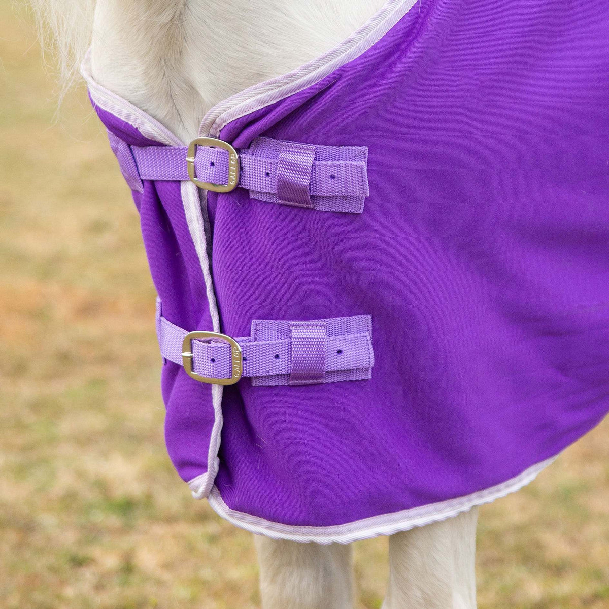 PONIE 'Tiddlywinks' Jersey Cooler Rug Purple