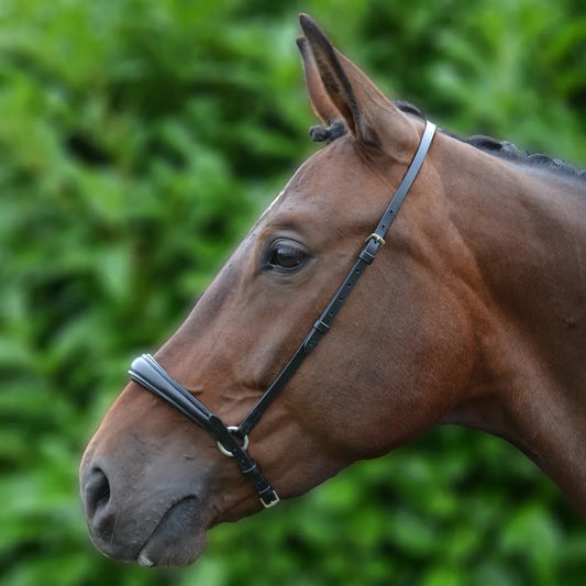 Hy Equestrian Padded Drop Nose Band