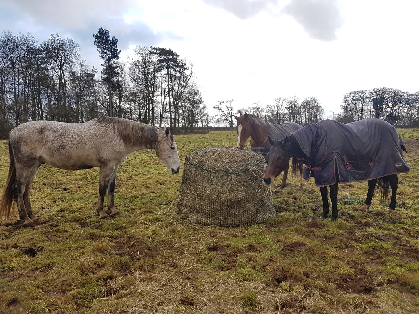 Trickle Net Large Round Bale Net