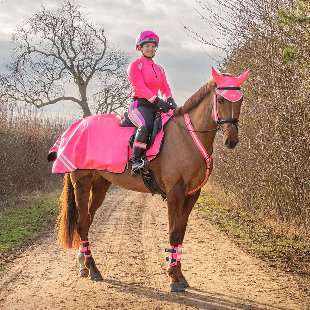 Reflector Bridle Bands by Hy Equestrian