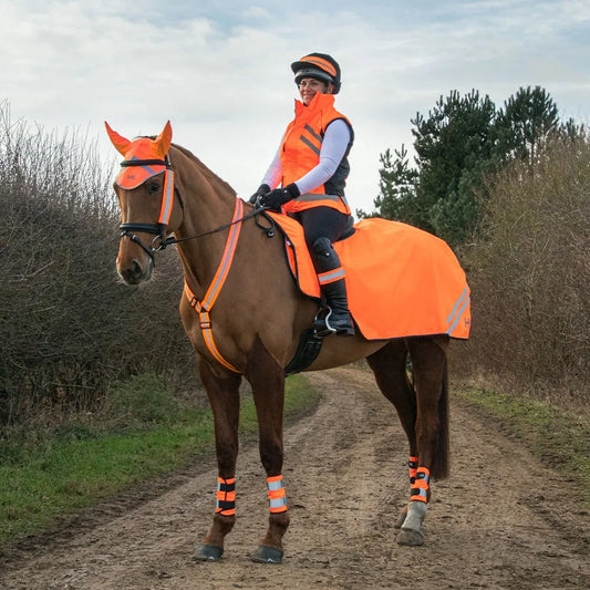 Reflector Bridle Bands by Hy Equestrian