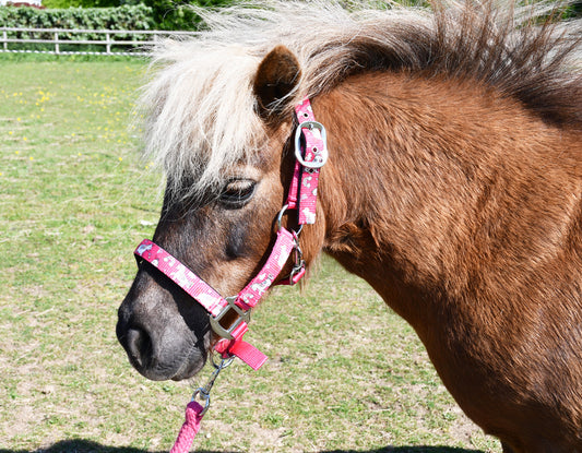 Rhinegold Unicorn Padded Headcollar And Matching Lead Rope Set