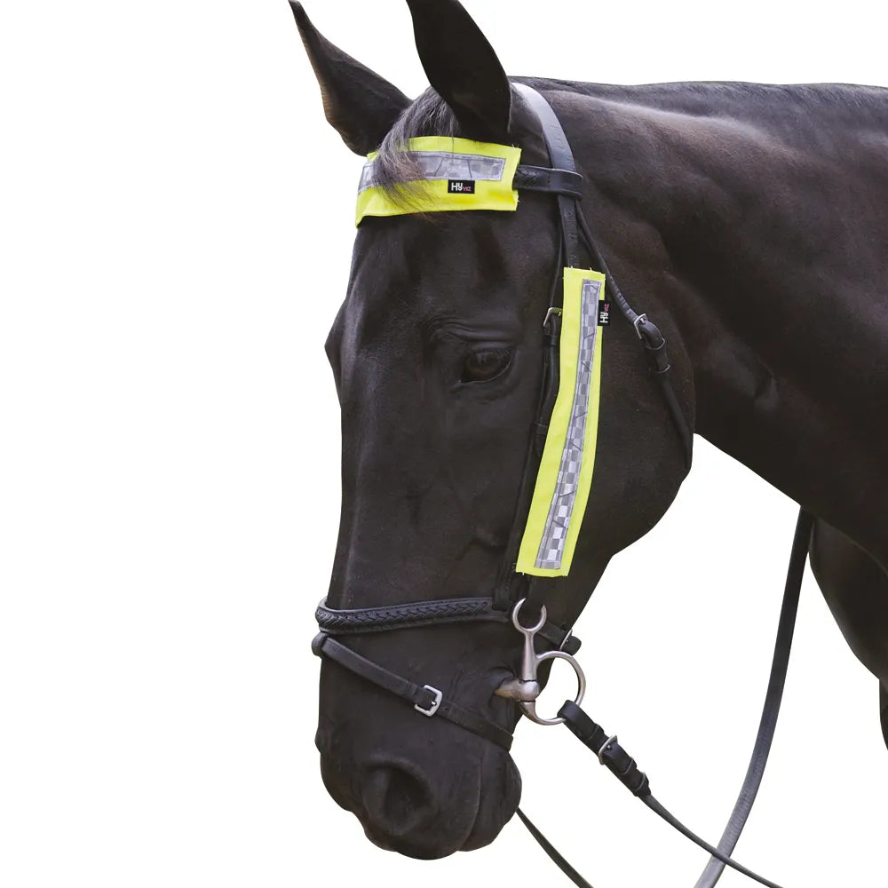 HyVIZ Bridle Set by Hy Equestrian
