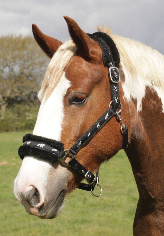 Rhinegold Padded Logo Headcollar