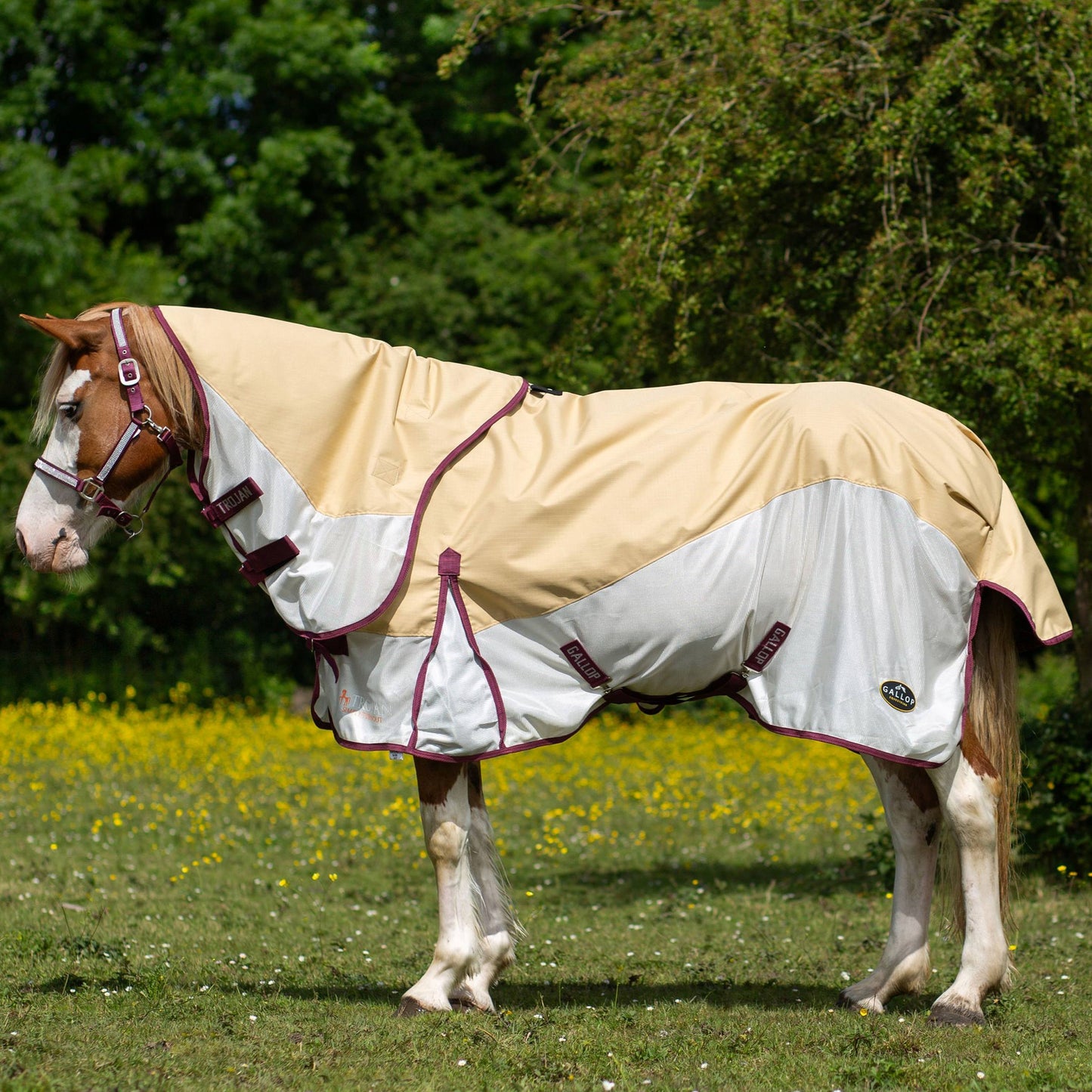 Trojan Duraproof Hybrid Dual Fly Rug