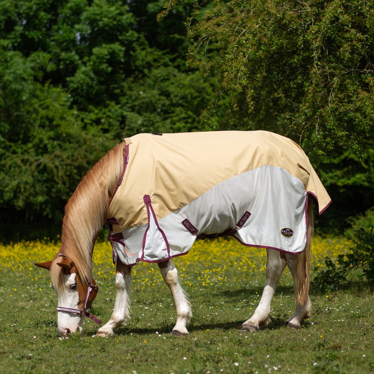 Trojan Duraproof Hybrid Dual Fly Rug