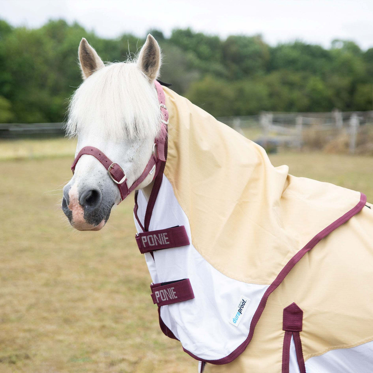 Ponie Duraproof Hybrid Dual Fly Rug