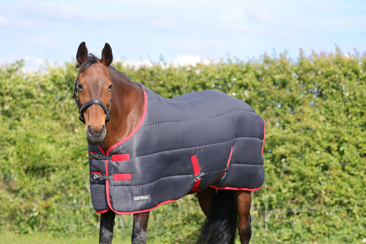 HyCONIC 250g Stable Rug