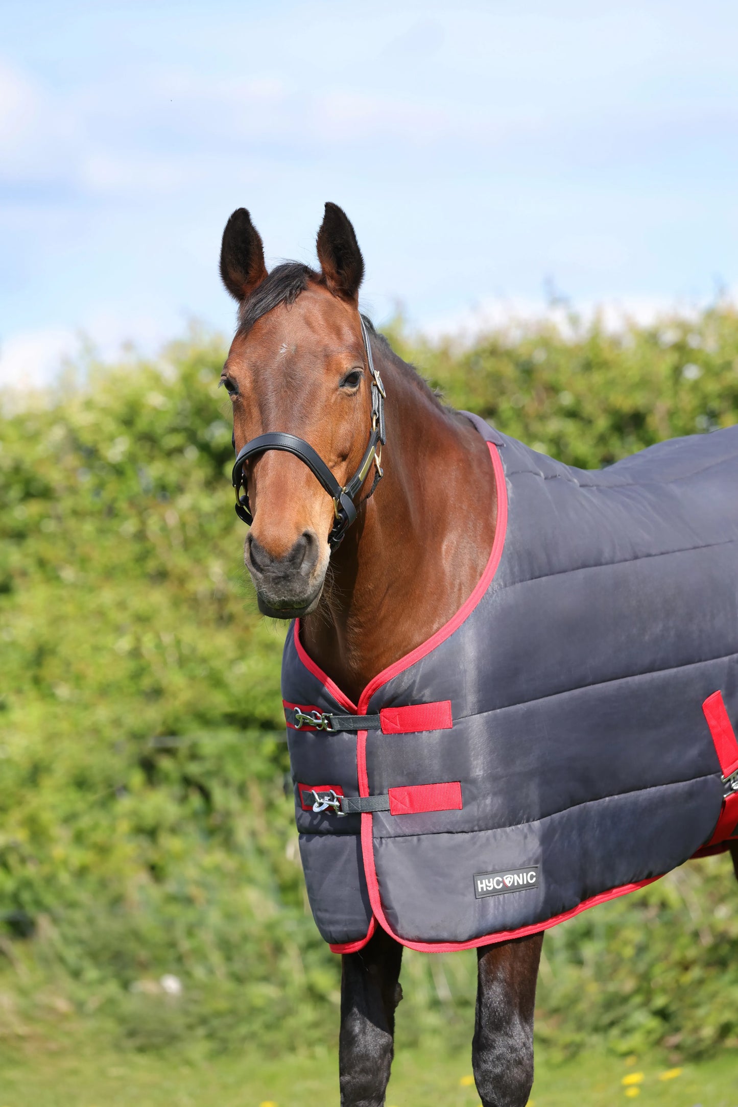 HyCONIC 100g Stable Rug