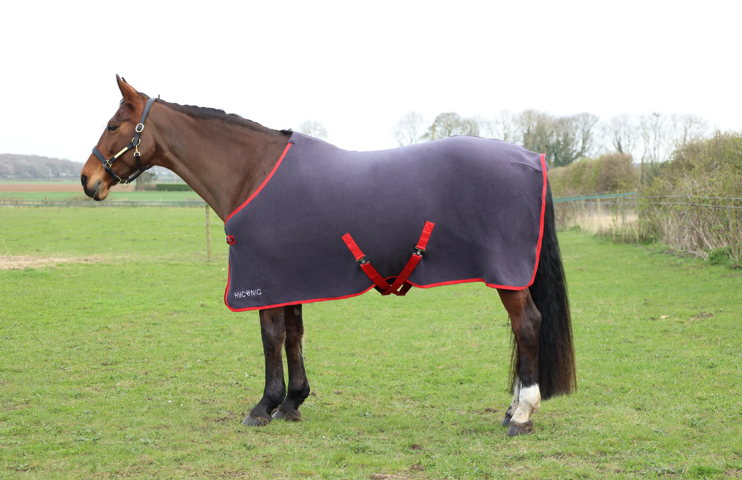 HyCONIC Fleece Rug