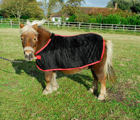 Small Pony Coral Fleece Rugs